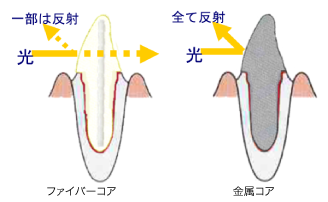 ippan_images_10 ippan_images_10