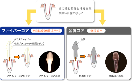 ippan_images_8 ippan_images_8