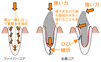 ippan_images_9 ippan_images_9